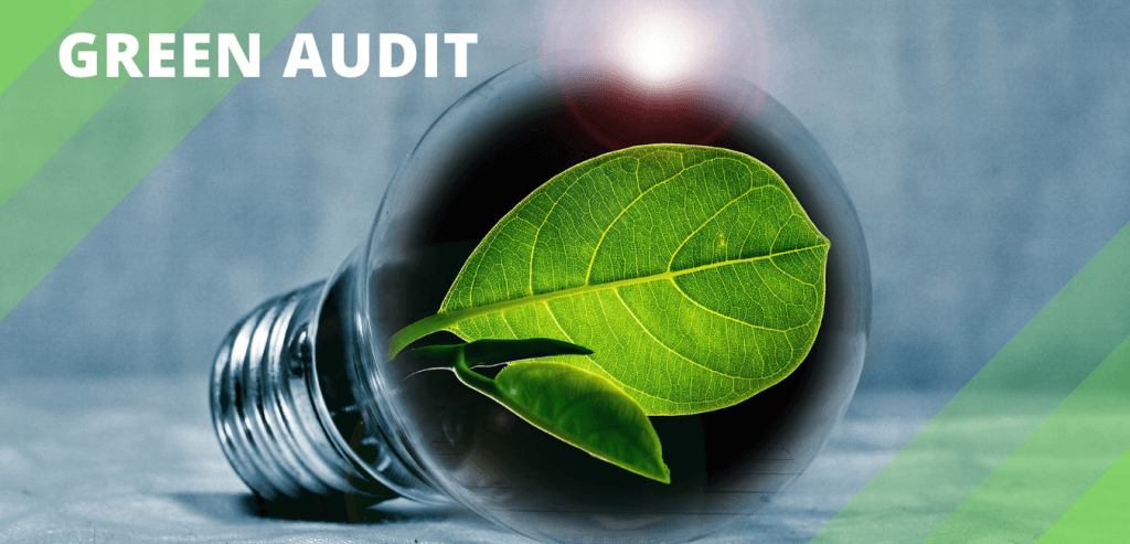 Green Audit in schools